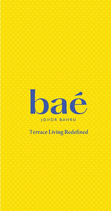 Bae Brochure